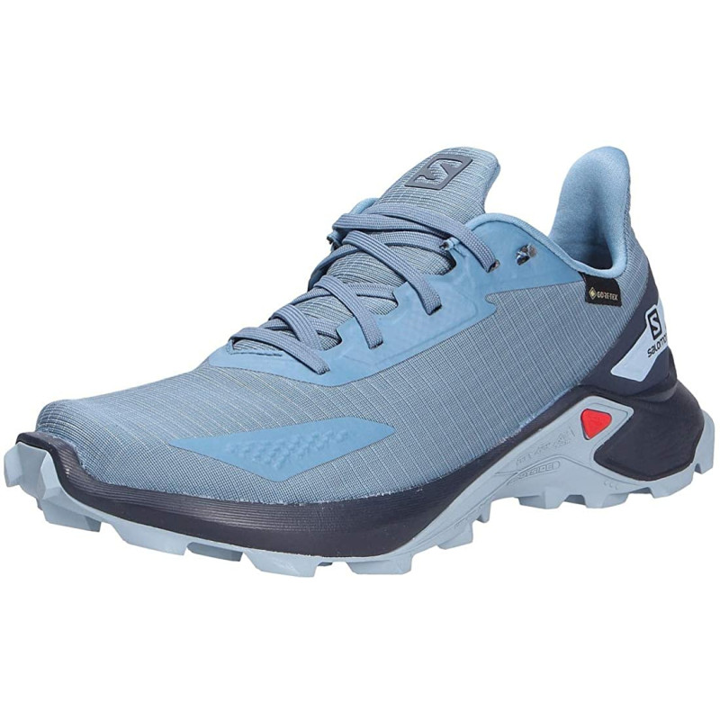 Sapatos Salomon Alphacross GTX W Azul