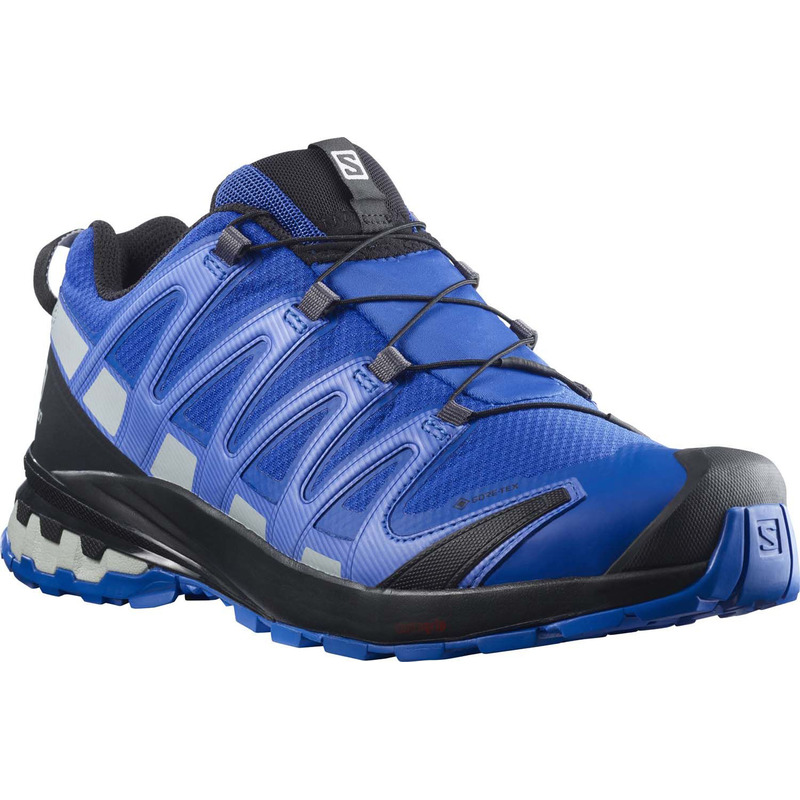 Sapatos Salomon XA PRO 3D V8 GTX azul / cinza