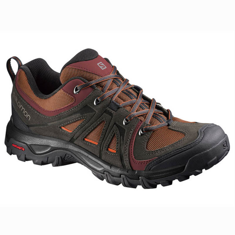 Salomon Evasion Aero Shoe Brown / Tile