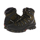 Bota Goretex Salomon Quest 4D 2 cinza / titânio