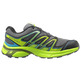 Sapato Salomon Wings Flyte 2 GTX Cinza / Verde / Preto