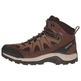 Botas Salomon Authentic LTR GTX Marrom