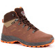 Chiruca Daimiel 02 Botas GTX Marrom / Laranja