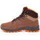 Chiruca Daimiel 02 Botas GTX Marrom / Laranja