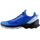 Salomon Cross Over GTX Blue Shoe