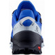 Salomon Cross Over GTX Blue Shoe