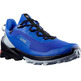 Salomon Cross Over GTX Blue Shoe