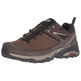 Sapatos Salomon X Ultra 3 LTR GTX castanhos