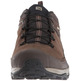 Sapatos Salomon X Ultra 3 LTR GTX castanhos