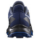 Sapatos Salomon Alphacross 5 GTX Azul