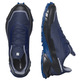 Sapatos Salomon Alphacross 5 GTX Azul