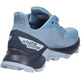 Sapatos Salomon Alphacross GTX W Azul