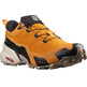 Zapatillas Salomon Cross Hike GTX Oro