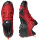 Salomon Cross Hike GTX Shoes Vermelho