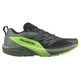 Sapatos Salomon Sense Ride 5 Preto/Verde