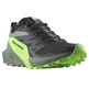 Sapatos Salomon Sense Ride 5 Preto/Verde