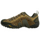 Merrell Intercept Brown Shoes