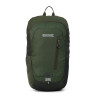 Mochila Regatta Highton V2 25L 